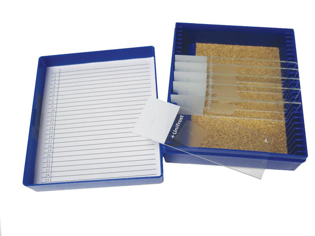 Azer Scientific Cryptosporium Clinical Control Slide, Cryptosporidium 10 per Box - ESCS-139 - 10 Each