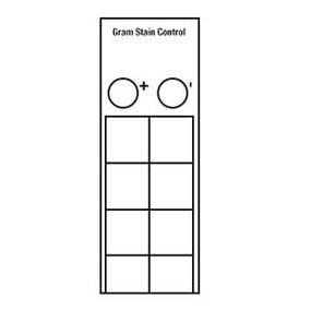 AZER SCIENTIFIC Gram Stain Control Slides ESCS-140 10 Each - MDL-AZRESCS140