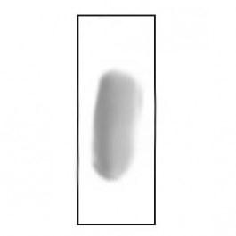Azer Scientific Microsporidium Stained Slide ESCS-168 - 2.0 Each