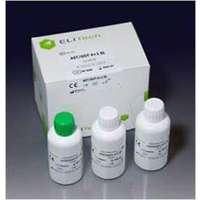 Beckman Coulter Assay Access Cortisol Reagent, 2 Packs of 50 Tests - B-C33600