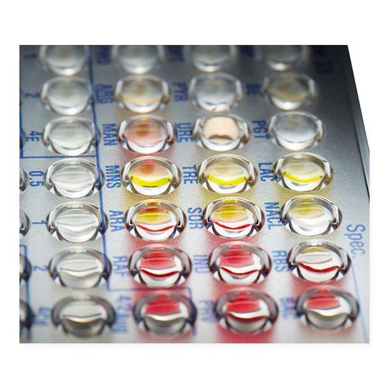 Negative Urine Combo 77 MicroScan Panel - B1017-429 - 1 Each - MDL-B-CB1017429