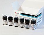 Beckman Coulter Clinical and Assays Access 25(OH) Vitamin D Calibrators for Access 2 Immunoassay Systems, S0-S5 (6 Bottles), 1.4 mL each - B-CB24839