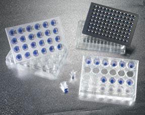 BD Cel Culture Inserts 351150 48 Each - MDL-B-D351150