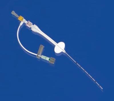 ARGON MEDICAL DEVICES INC L-Cath PICC Single-Lumen Catheter Only 384232 5 Each - MDL-B-D384232