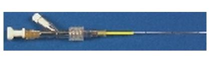 Argon Medical Devices Inc L-Cath Polyurethane Small-Vein Access 384516 - 1.0 Each