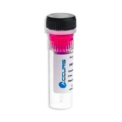 Taq Plus DNA Polymerase and Master Mix - PR1001-TP-1000 - 1 Each - MDL-BEN001TP1000