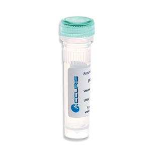 Benchmark Scientific qMAX Green Real Time PCR Mix PR2000-L-1000 1.0 Each-MDL-BEN2000L1000