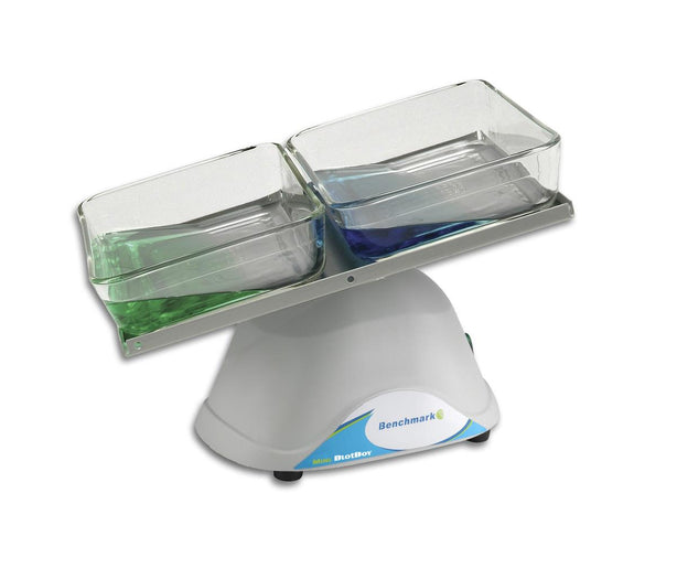3D BenchRockers - B3D2300-E - 1 Each - MDL-BENB3D2300E