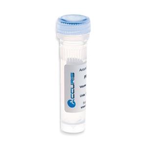 Benchmark Scientific and Master Mix by PR1000-500 Accuris Taq Dna Polymerase, 500 Units - MDL-BENPR1000500 - 1 Each