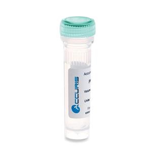 Benchmark Scientific qMAX Green Real Time PCR Mix PR2000-L-S 1.0 Each-MDL-BENPR2000LS