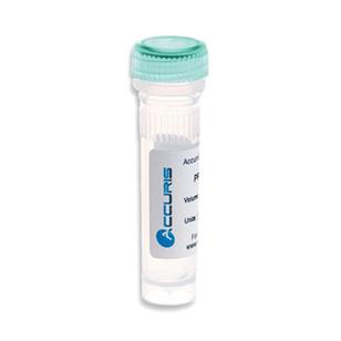 Benchmark Scientific qMAX Green Real Time PCR Mix PR2000-H-500 1.0 Each-MDL-BENR2000H500