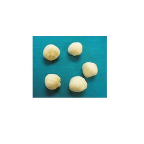 Bioseal Bioseal Stick Sponges 12106/50 - 5.0 Each