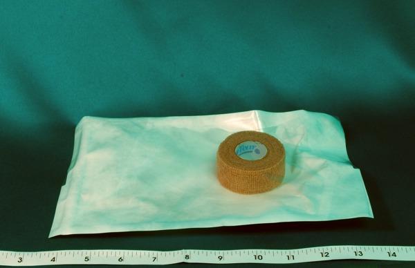 BIOSEAL Elastic Cohesive Bandages 4016/24 1 Each - MDL-BIE401624H