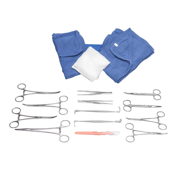 Bioseal Chest Tube Insertion Tray - CHT006/10 - 10 Tray - MDL-BIECHT00610