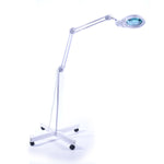 Brandt Industries Illuminated Magnifier, LED 5 Diopter, Mobile Base - 80624 - 1 Each