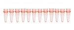 Bio Plas Inc. Thin Wall Micro Tubes 5020-2 - 100.0 Each - MDL-BPS5020-2