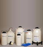 Brymill Cryogenic Systems Liquid Nitrogen Storage Dewar, 10 L - BQL50110