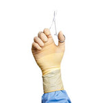 Cardinal Health Protexis Powder-Free Neoprene Essential Surgical Gloves 2D73DS85 - 200.0 Pair - MDL-BXT2D73DS85