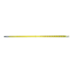 CARDINAL HEALTH Glass Mercury Incubator Thermometers CH6371 1 Each - MDL-BXTCH6371
