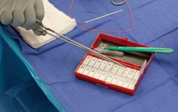 Cardinal Foam Magnetic Needle Counter, 10/20 - BXTLB401SST
