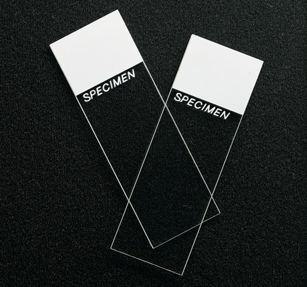 Cardinal Superfrost White Microscope Slide, 3" x 1" x 1.2 mm thick - M6131 - 144 Each