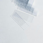 Fluorescent Antibody Examination Slides - M6177 - 1440 Each - MDL-BXTM6177