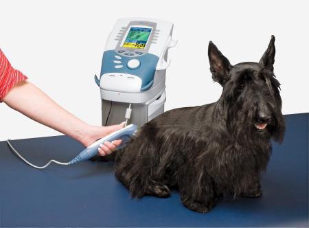 Intelect Vet E-stim, Ultrasound and Laser Therapy - 2756 - 1 Each - MDL-CHT2756K
