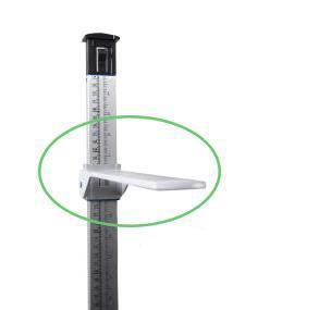 HEALTHOMETER PROFESSIONAL SCALES Health O Meter Scale Parts 201HEAD 1 Each - MDL-CNS201HEAD