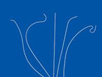 Cook Polyethylene Catheters - G00163 - 5 Each - MDL-COKG00163BX
