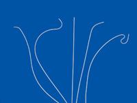 Cook Polyethylene Catheters - G00163 - 5 Each - MDL-COKG00163BX