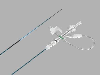 Cook Inc Cook Flexor Shuttle Guiding Sheathes G13539 - 1.0 Each