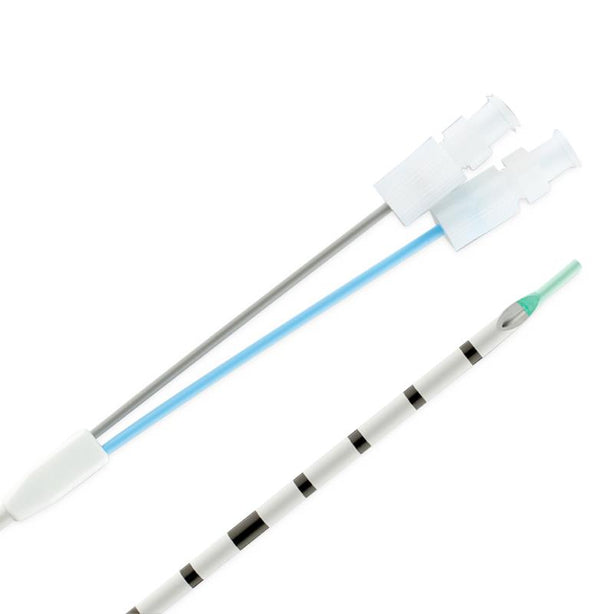 Cook Inc Dual Lumen Ureteral Access Catheters G17145 - 1.0 Each