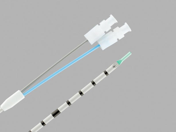 Cook Dual Lumen Ureteral Access Catheter with AQ Hydrophilic Coating, 6/10 Fr, 50 cm - G17323 - 1 Each