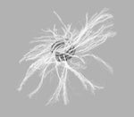 Cook Inc Cook MReye Embolization Coils G19957 - 1.0 Each