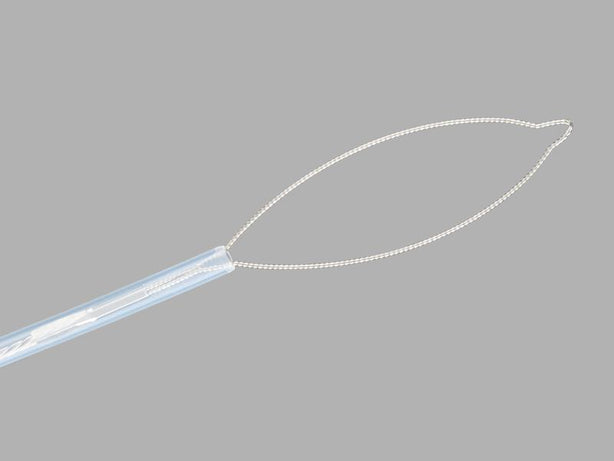 COOK One Piece Disposable Polypectomy Snare Acusnare, Reference No. AS-1-S - G22629 - 10 Each