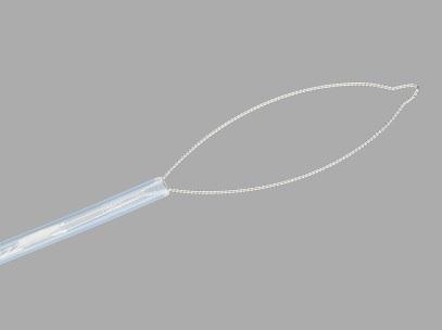 Cook AcuSnare Polypectomy Snare Device, SASMH-1-S - G22703 - 10 Each