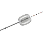 Cook Inc Cook Fusion Quattro Extraction Balloons G31921 - 1.0 Each