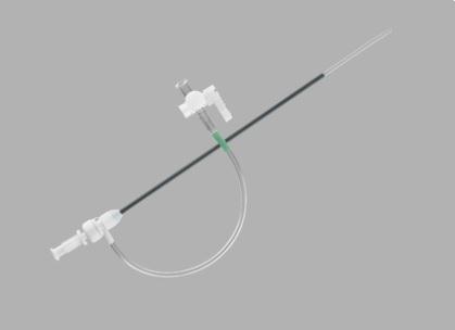 Cook Inc Cook Flexor Introducers G32233 - 1.0 Each
