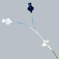 Spectrum Double-Lumen Central Venous Catheters - G43991 - 1 Each - MDL-COKG43991