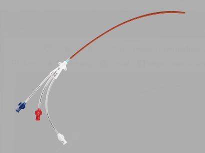 Cook Inc Cook Spectrum Central Venous Catheter Sets and Trays G47829 - 1.0 Each