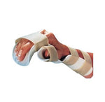 Chesapeake Medical Preformed Resting Pan Mitt Splint, Right, Size M - CM408-4 - 1 Each