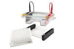 Enduro Horizontal Gel Box, 96 Comb, 8 Sample Mc + 2 Marker, 1 mm Thick, 10.10 and Boxes/Accessories - E1010-9621-CB - 1 Each