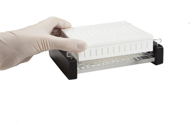 25-Well Combination for Use with 10 cm Enduro Gel System, 2 mm Thick, 10.10 and 96 Horizontal Boxes/Accessories - E1110-25-2 - 1 Each