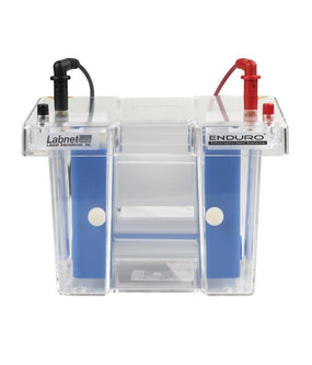 Corning Life Sciences ENDURO VE 10 Blotter E2010-PM - 1.0 Each