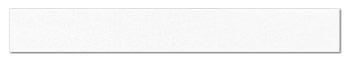 Carstens Patient Chart Insert Labels 8390-01 - 100.0 Each - MDL-CRT839001