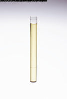 Dwk Life Sciences Kimble Varnish Viscosity Tube, 10.75 mm Inner Dia. - CSX464631075