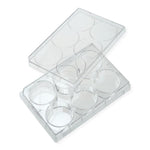 Celltreat Scientific Tissue Culture Plate With Lid, Sterile, Treated, 6-Well - 229106 - 100 Each