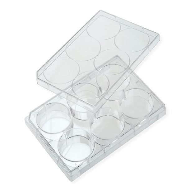 Celltreat Scientific Tissue Culture Plate With Lid, Sterile, Treated, 6-Well - 229106 - 100 Each