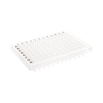 Celltreat 96-Well PCR Plate - 229513 - 50 Each - MDL-CTT229513