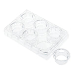 Celltreat Scientific Permeable Cell Culture Inserts, Packed in 6-Well Plate, Hanging, PC, 0.4um, Sterile - 230601 - 12 Each
